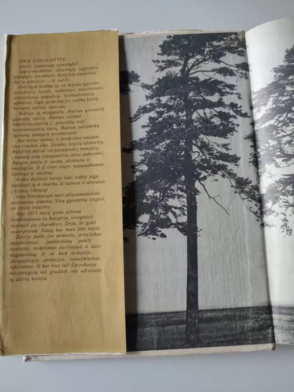 Ji buvo Simonaitytė - Ona Pajedaitė, knyga 3