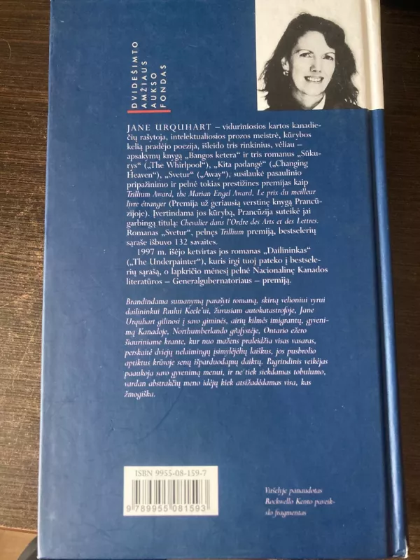 Dailininkas - Jane Urquhart, knyga 3