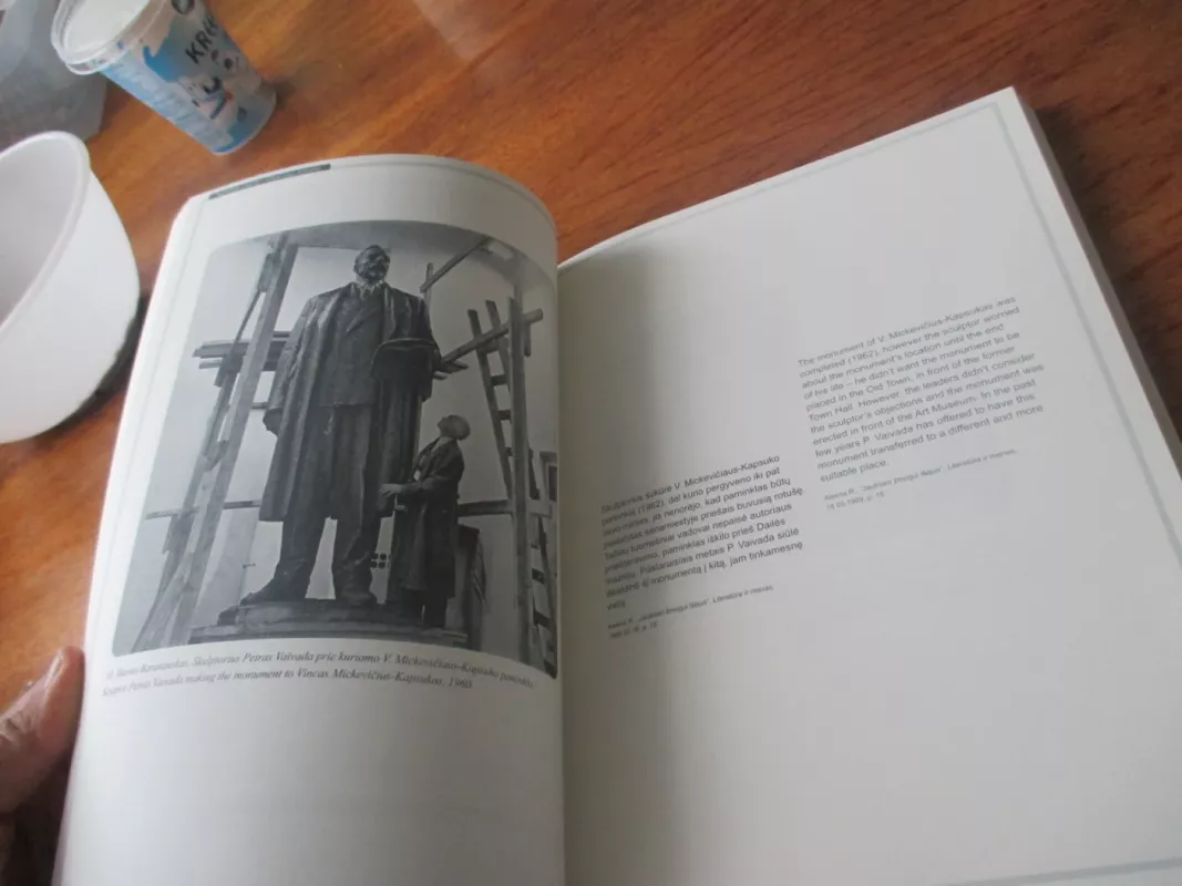 Vilniaus paminklai. Kaitos istorija/ Vilnius Monuments. A Stroy of Change - Autorių Kolektyvas, knyga 6