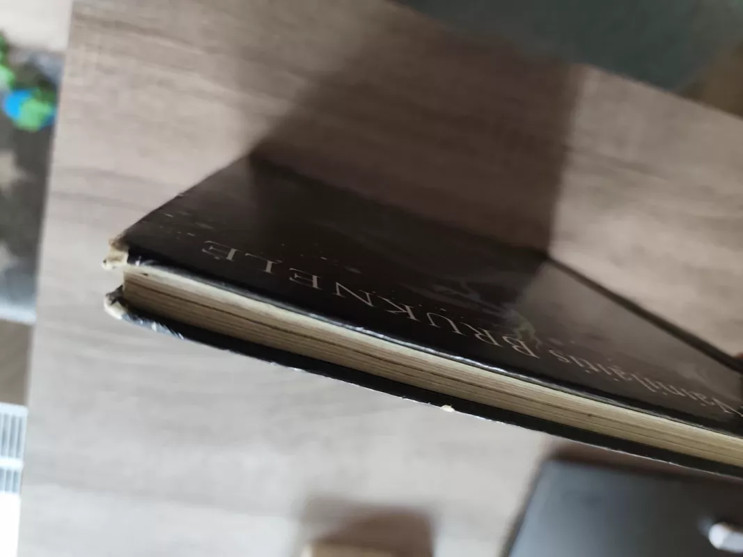 Bruknelė - Martynas Vainilaitis, knyga 5