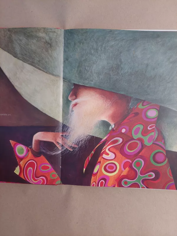 Princesės- pamirštos ir nežinomos - Philippe Lechermeier, Rebecca Dautrememer, knyga 3