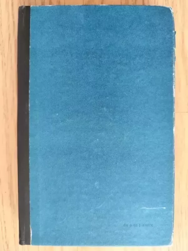 Mirtis Venecijoje - Tomas Manas, knyga 3