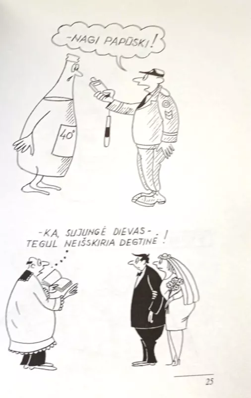 Ironiškos šypsenos - Algirdas Radvilavičius, knyga 4