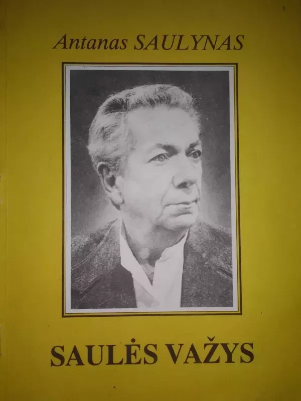 Saulės važys - Antanas Saulynas, knyga 2