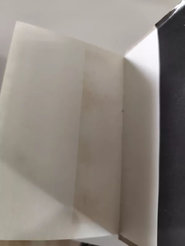 Vincas Mykolaitis Putinas poezija 1 - Vincas Mykolaitis-Putinas, knyga 5