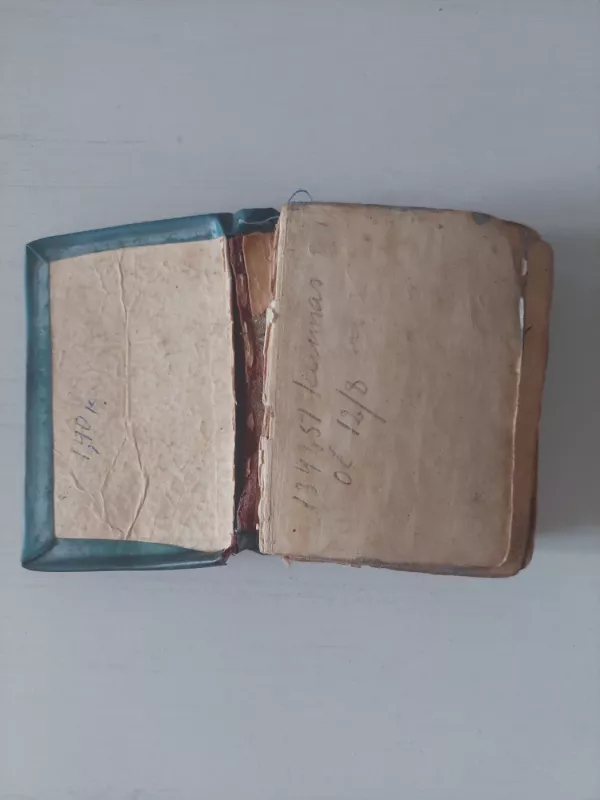 Sveika Marija mūsų globėja - Nėra, knyga 6