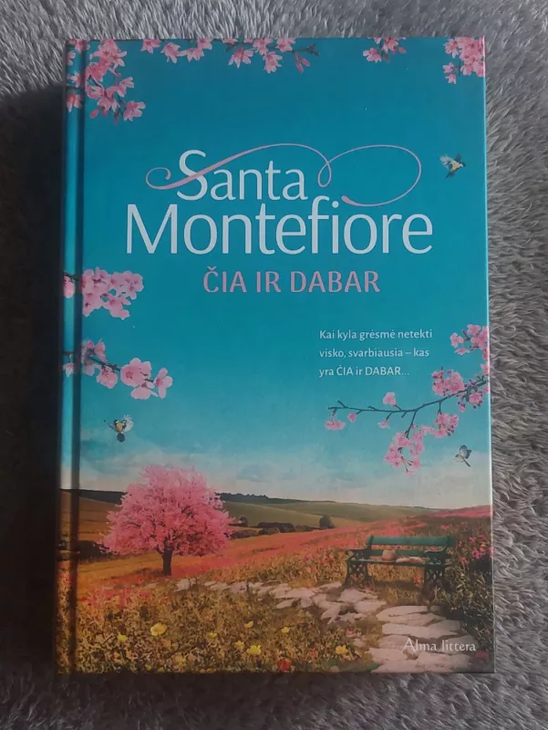 Čia ir dabar - Santa Montefiore, knyga 2