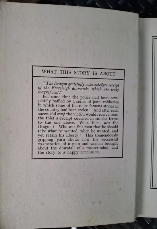 The stormberg jewel case - K.M. Sheahan, knyga 5