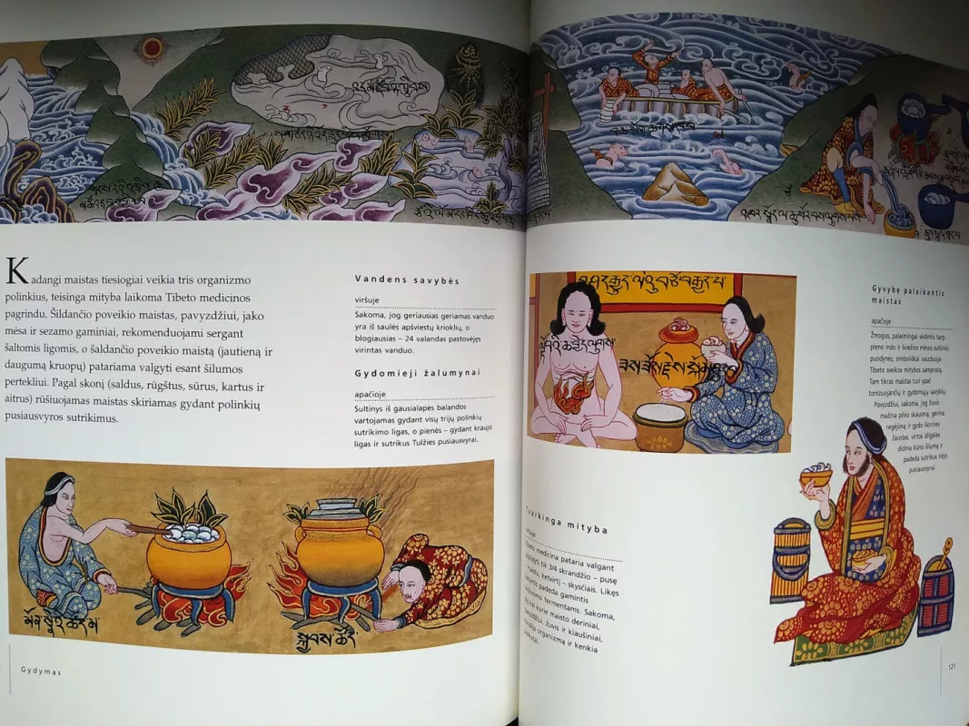 Tibeto gydymo menas - Ian A. Baker, knyga 4