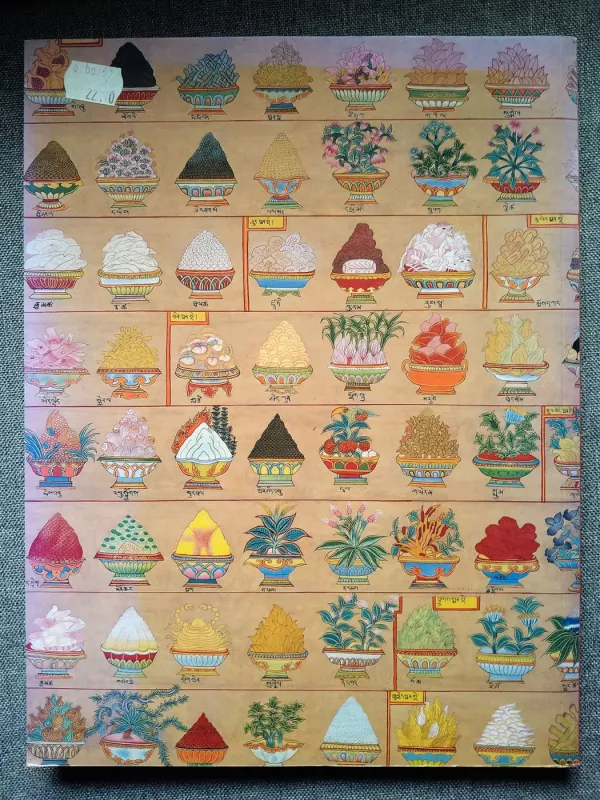 Tibeto gydymo menas - Ian A. Baker, knyga 5