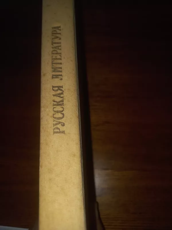 Ruskaja literatura - Lihačiov i drugije  , knyga 6