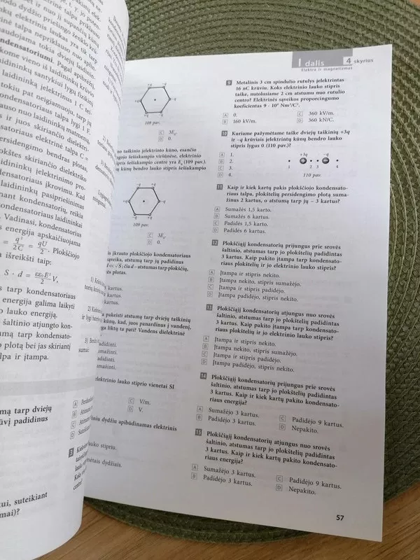 Prieš egzaminą Fizika - Albinas Ivanauskas, Stasys Jurėnas, knyga 5