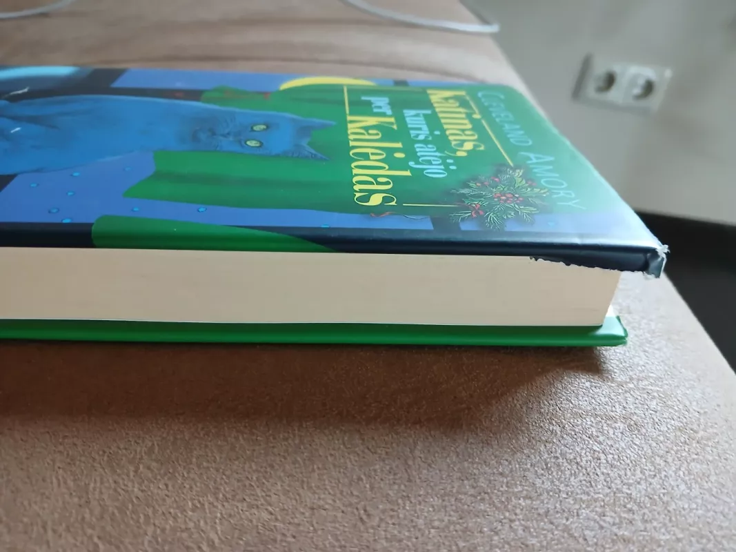 Katinas, kuris atėjo per Kalėdas - Cleveland Amory, knyga 3