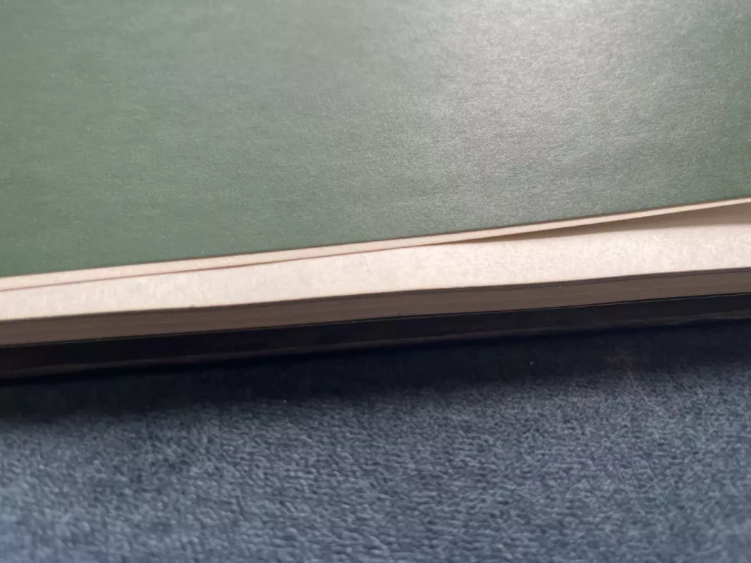 Bruknelė - Martynas Vainilaitis, knyga 4