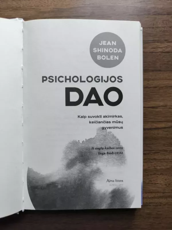 Psichologijos Dao. Kaip suvokti akimirkas, keičiančias mūsų gyvenimus - Jean Shinoda Bolen, knyga 4