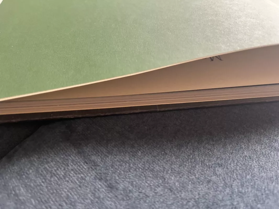 Bruknelė - Martynas Vainilaitis, knyga 6