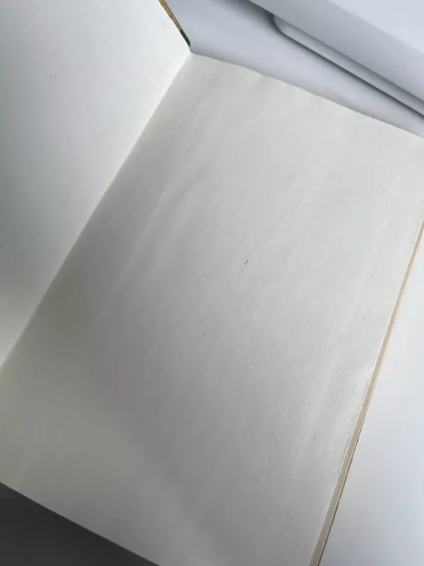 Bembis bembio vaikai - Feliksas Zaltenas, knyga 6