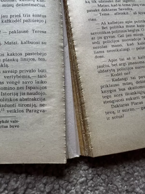 Garbės konsulas - Greihamas Grinas, knyga 6