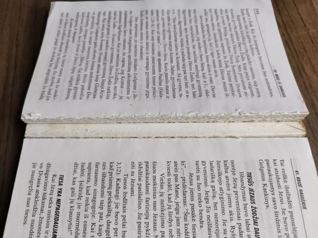 Su meile iš dangaus. Dievas siuntė savo numylėtąjį sūnų į žemę - E.Vait, knyga 4