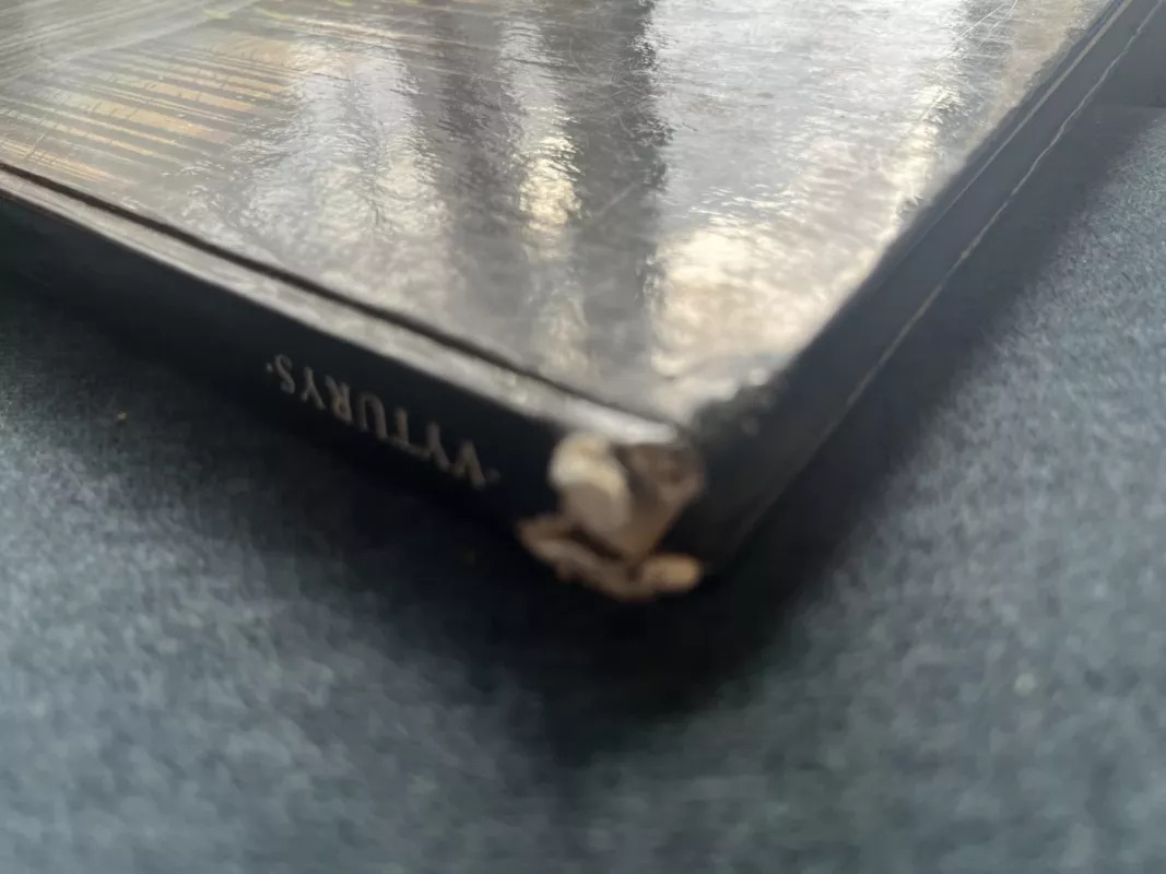 Bruknelė - Martynas Vainilaitis, knyga 3