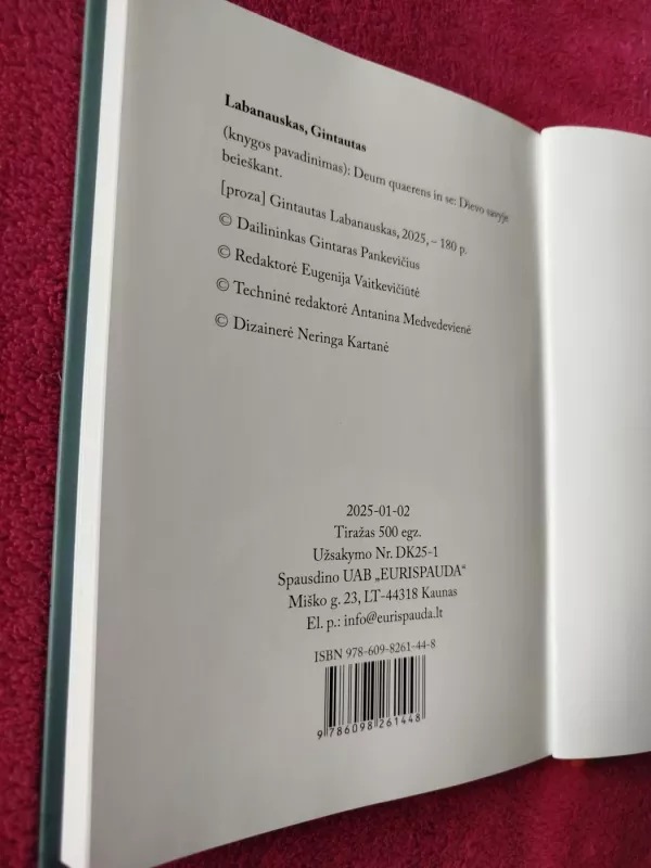 Dievo savyje beieškant - Gintautas Labanauskas, knyga 4