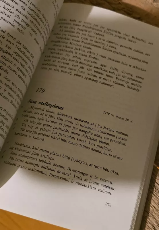 Marija kalba savo mieliesiems kunigams - Česlovas Auglys, knyga 4