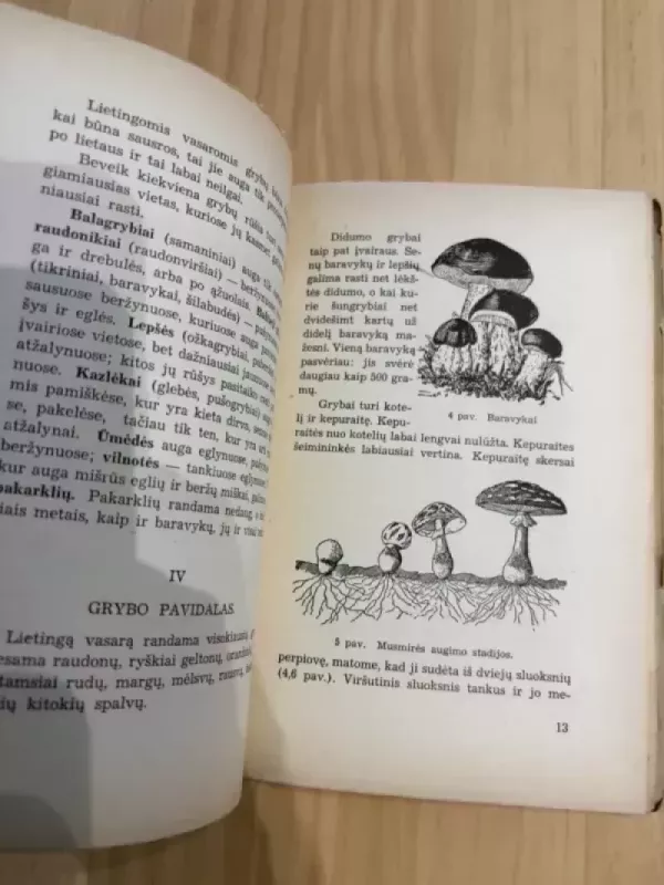 Grybų Pasaulis - M. Novoruskij, knyga 4