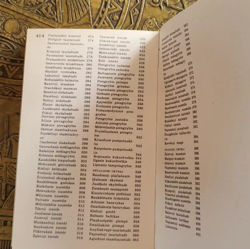 Mažieji miško turtai - Sud . D. Griniūtė, knyga 6