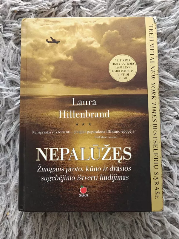 Nepalūžęs - Laura Hillenbrand, knyga 2