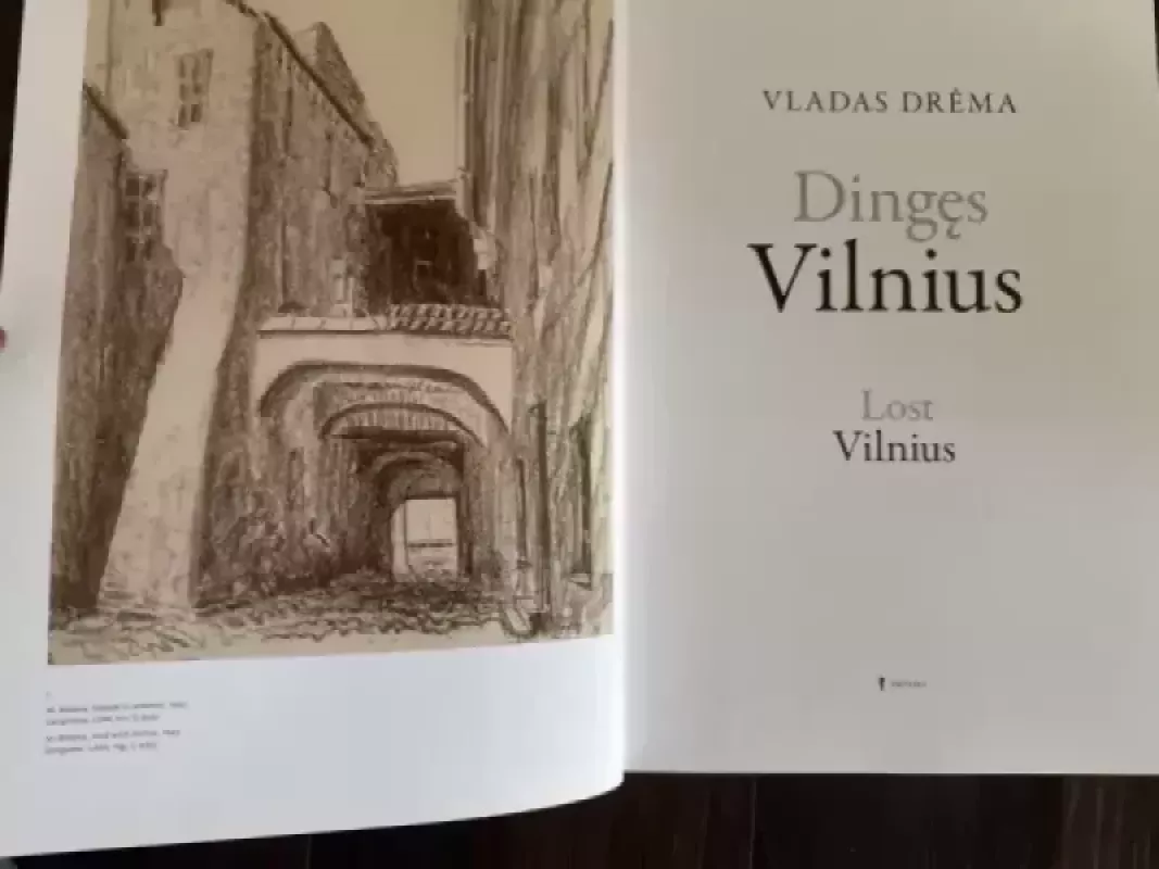 Dingęs Vilnius - Vladas Drėma, knyga 3
