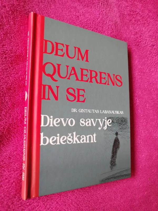 Dievo savyje beieškant - Gintautas Labanauskas, knyga 2