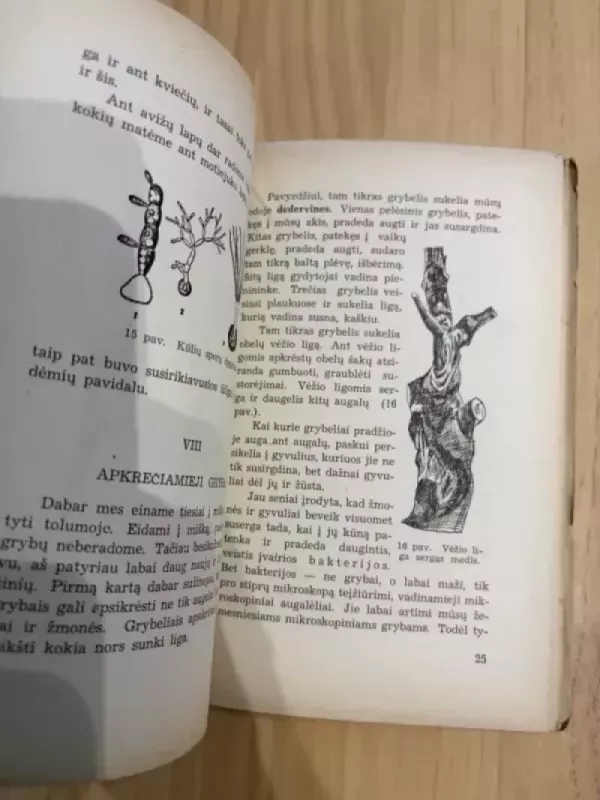 Grybų Pasaulis - M. Novoruskij, knyga 3