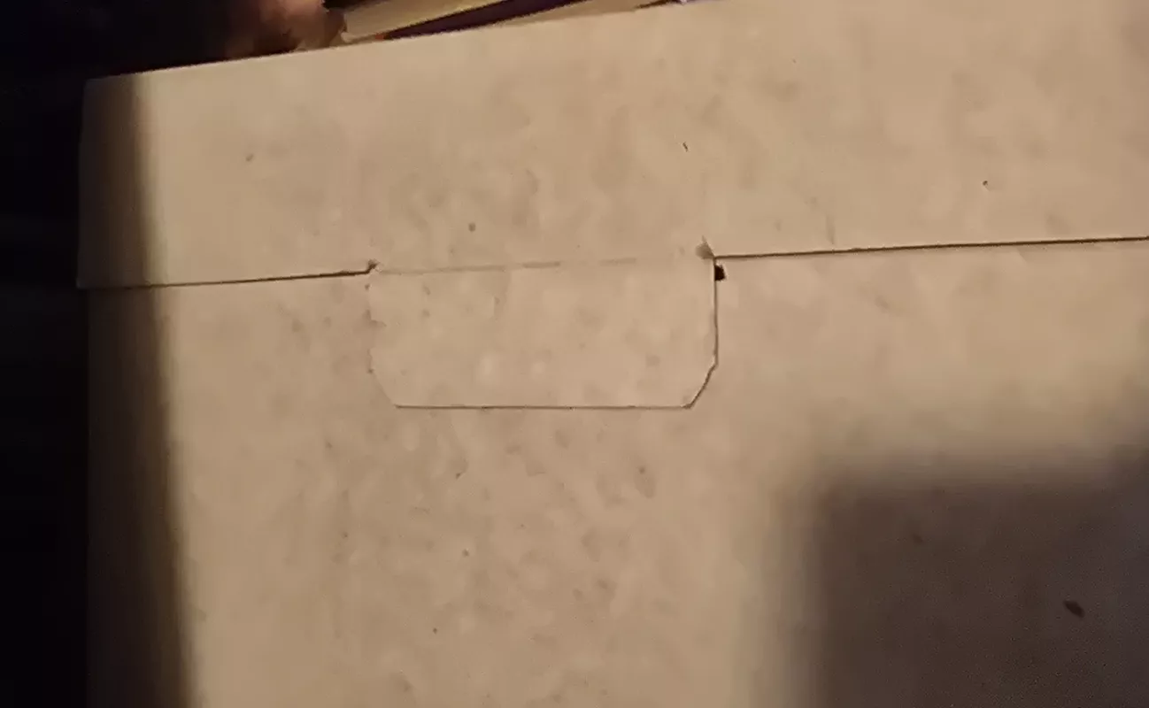 Vilniaus universitetas dailėje - Dalia Ramonienė, knyga 4