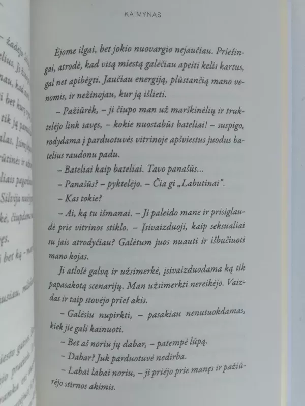 Kaimynas - Agnė Bausienė, knyga 4