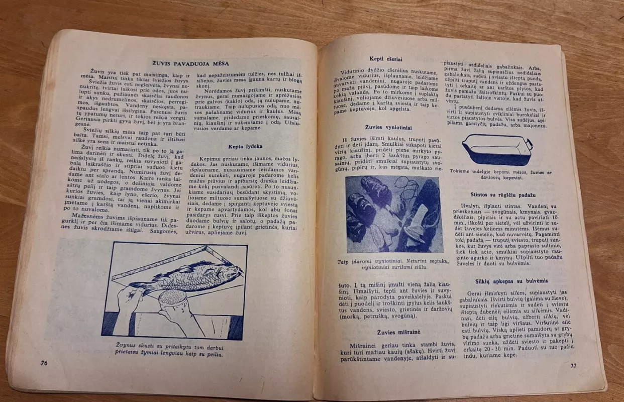 Pažangi šeimininkė - Autorių Kolektyvas, knyga 5