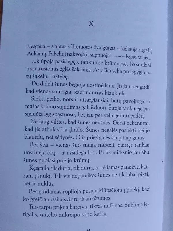 Dinastijos žūtis - Juozas Kralikauskas, knyga 5