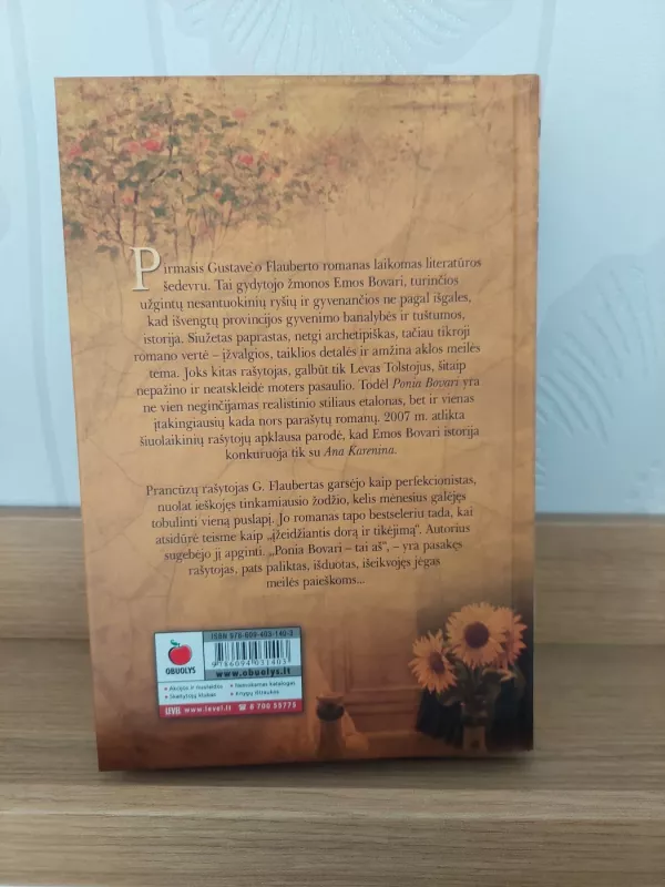 Ponia Bovari - Gustave Flaubert, knyga 3