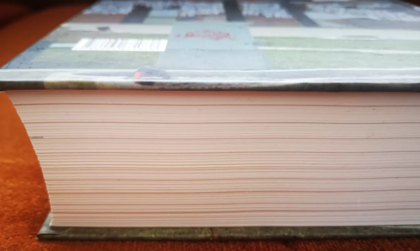 Tautiniai naratyvai ir herojai Vidurio Rytų Europoje po 1989 m. - Egidijus Aleksandravičius, knyga 3