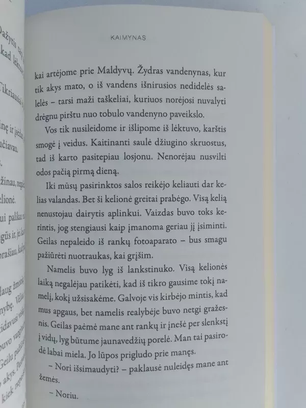 Kaimynas - Agnė Bausienė, knyga 5