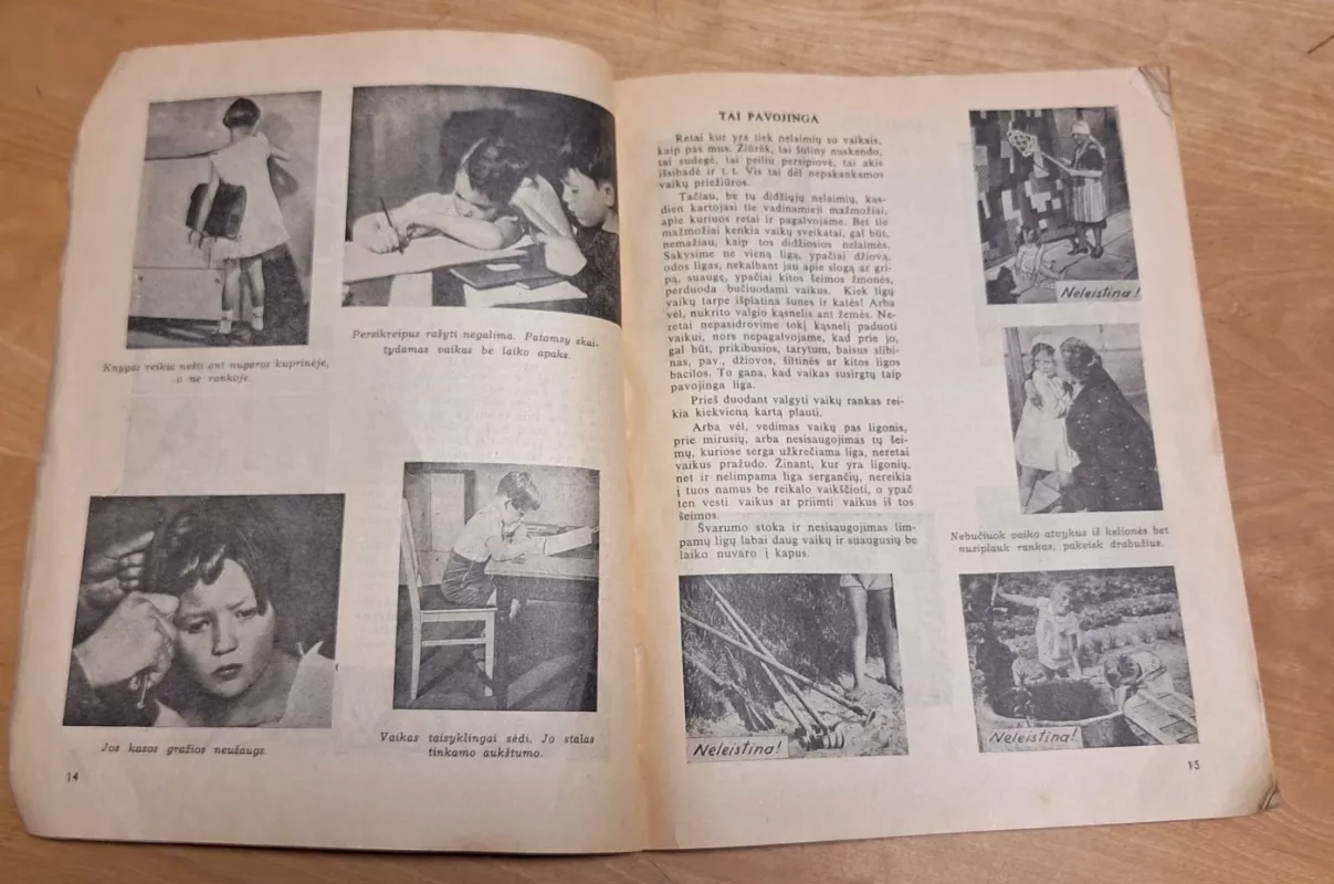 Pažangi šeimininkė - Autorių Kolektyvas, knyga 6