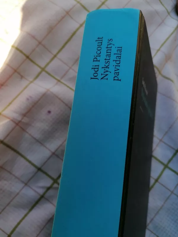 Nykstantys pavidalai - Jodi Picoult, knyga 3