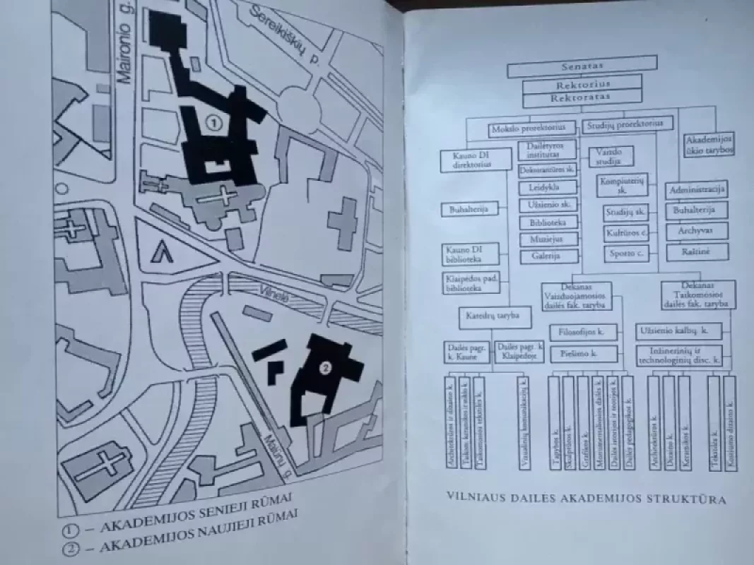 Vilniaus dailės akademija. Studijų vadovas 1995-1996 - Adomas Butrimas, knyga 5