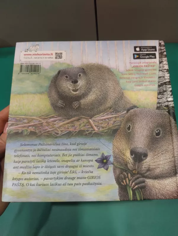 Jei rašysi laišką girion - Selemonas Paltanavičius, knyga 4