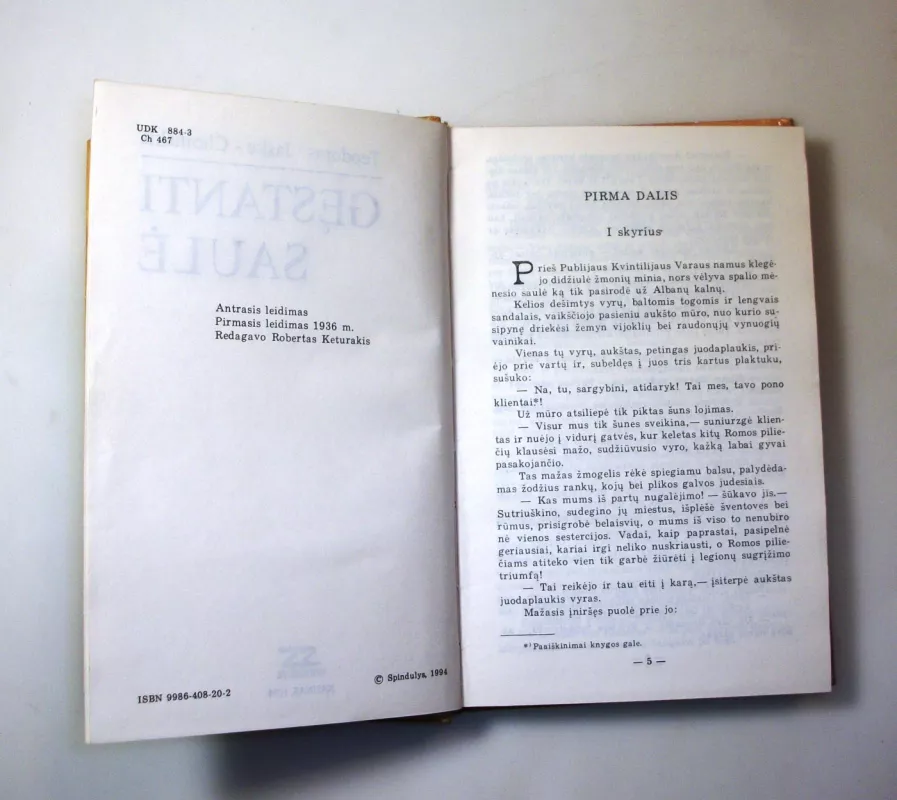 Gęstanti saulė - Teodoras Jaske-Choinskis, knyga 6