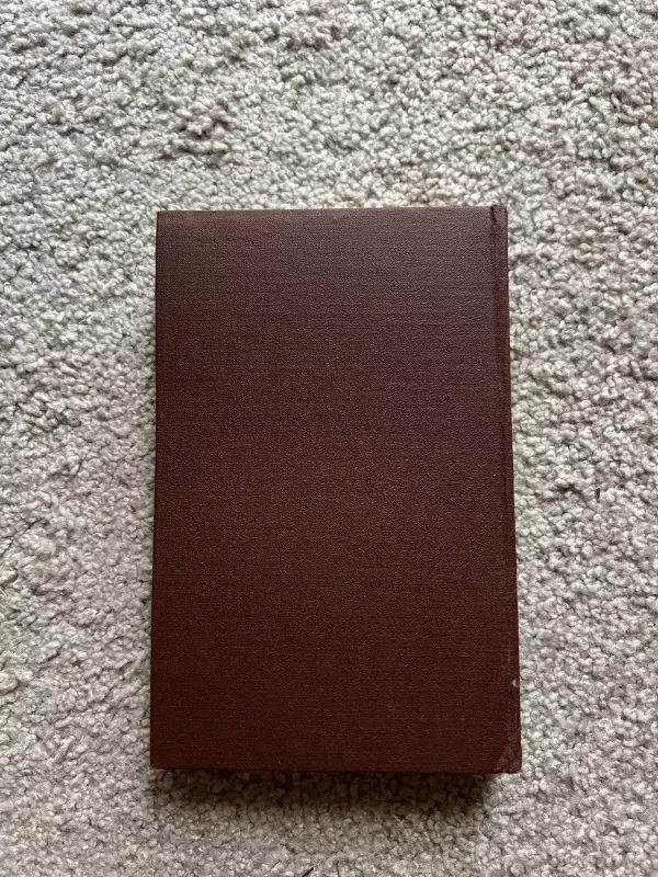 Raštai 2 tomas Poezija - Vincas Mykolaitis Putinas, knyga 4