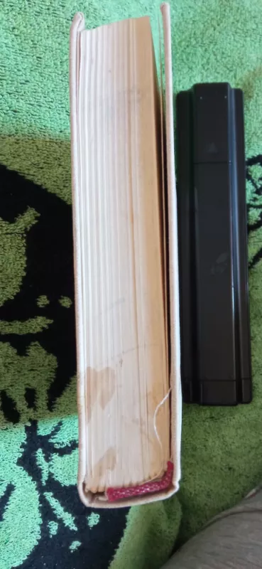 Poetika ir literatūros estetika - iki Hegelio Nuo Aristotelio, knyga 4