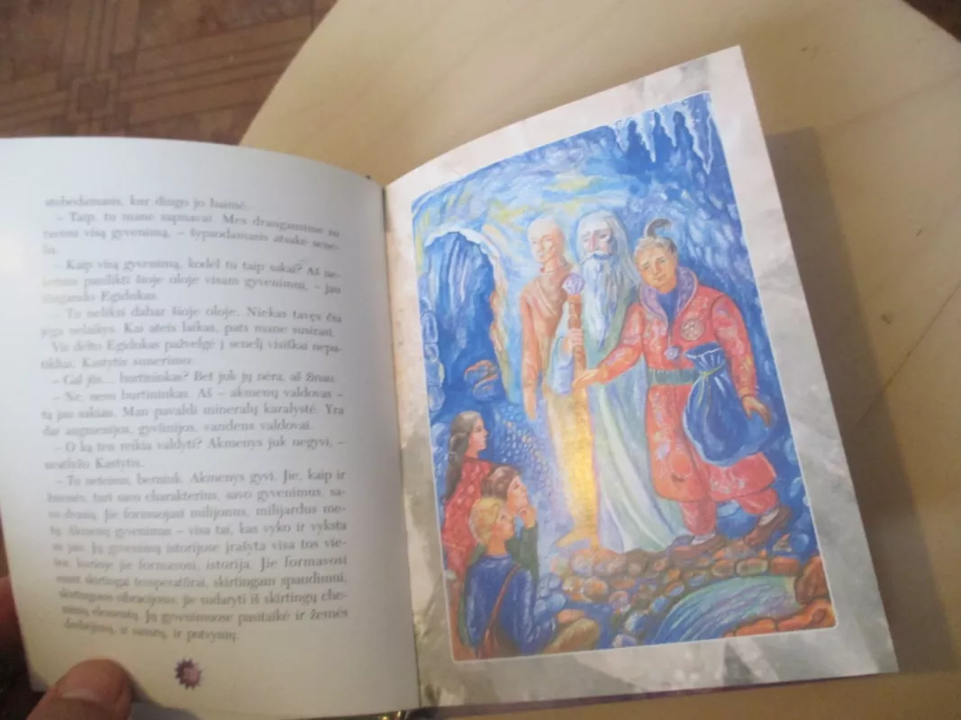 Akmenų valdovo pasakojimai - Audronė Ilgevičienė, knyga 6