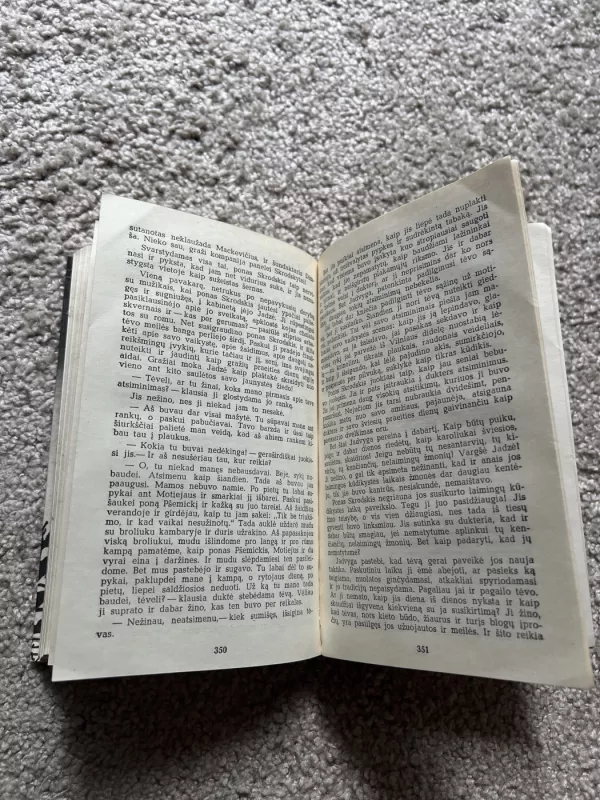 Sukilėliai - Vincas Mykolaitis-Putinas, knyga 5