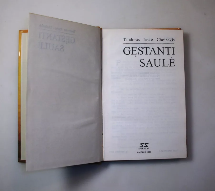 Gęstanti saulė - Teodoras Jaske-Choinskis, knyga 5