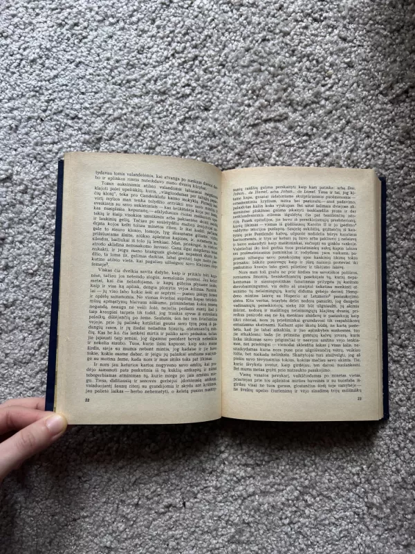 Puritonai - Valteris Skotas, knyga 4